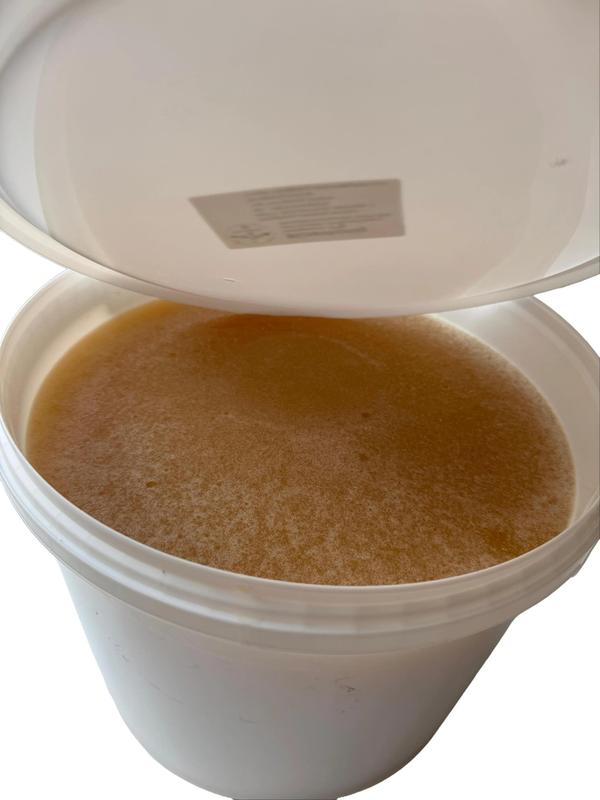 Blütenhonig / Frühtrachthonig – 13 kg Eimer aus Bayern – laborgeprüft